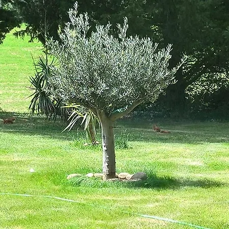 L'echappee Belle Maison d'hôtes